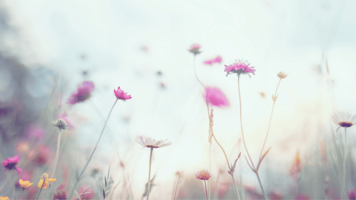 The Becoming Series: The Assumption of Becoming A soft unfolding into the woman you were always meant to be.