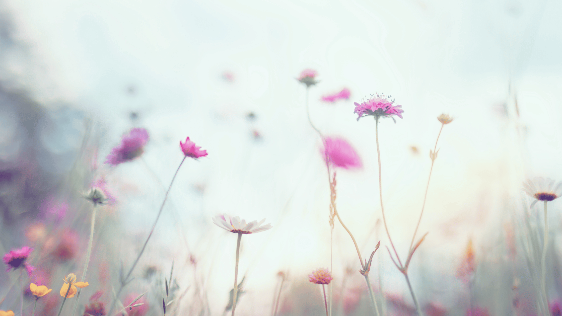 The Becoming Series: The Assumption of Becoming A soft unfolding into the woman you were always meant to be.