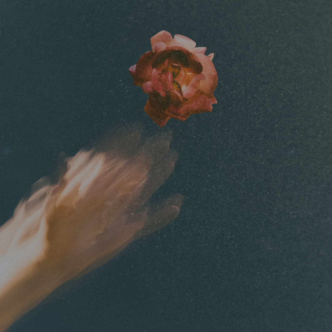 What’s Meant for You Will Flow: Embrace Clarity and Let Go