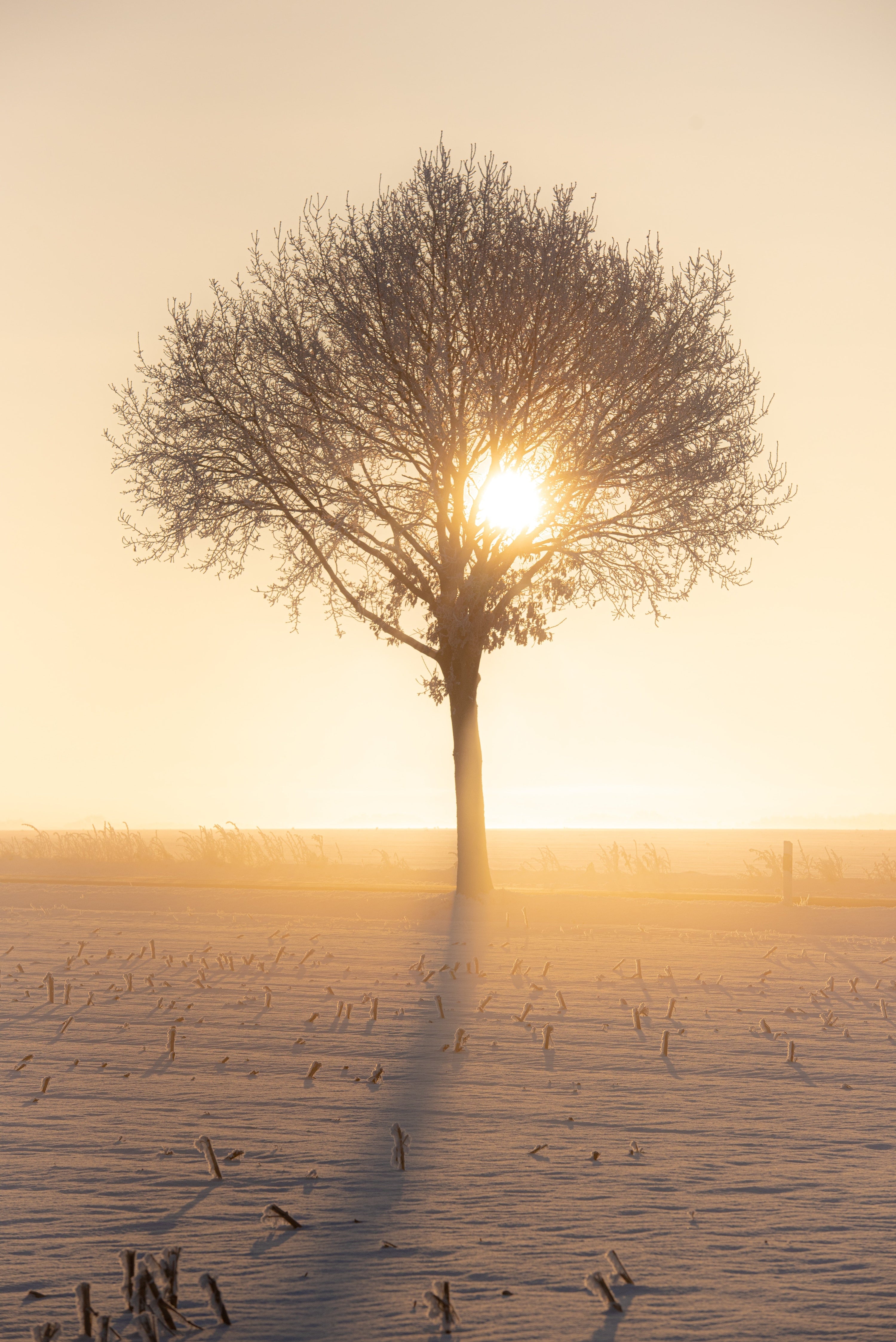 Beauty and Grief: How Loss Changes the Way We See Ourselves